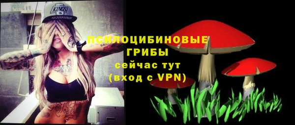 шишки Абаза
