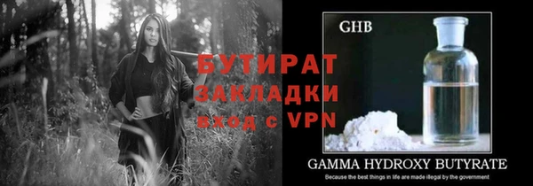 шишки Абаза