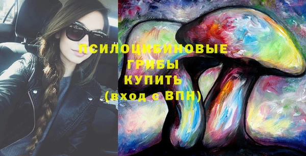 тгк Абинск