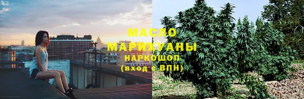 тгк Абинск