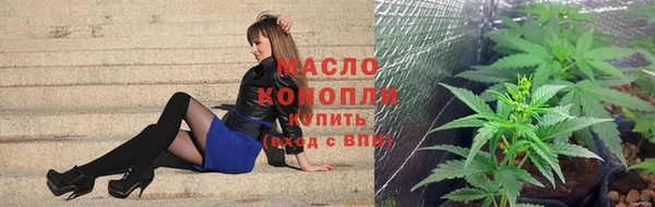 шишки Абаза