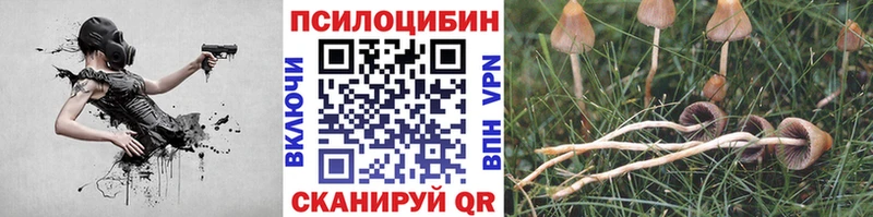 Галлюциногенные грибы прущие грибы  Зеленокумск 